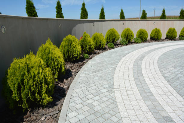 Best Permeable Paver Driveway  in Angustura, NM